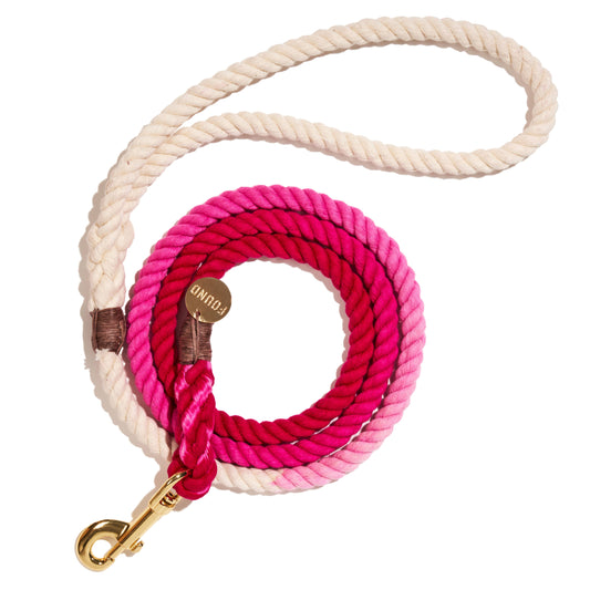 Magenta Ombre Cotton Rope Dog Leash by Found my Animal