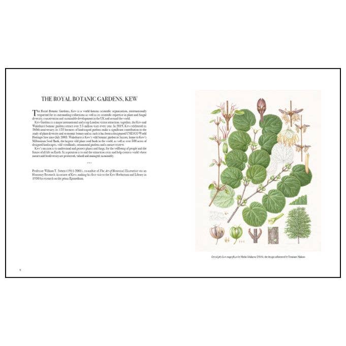 Art of Botanical Illustration