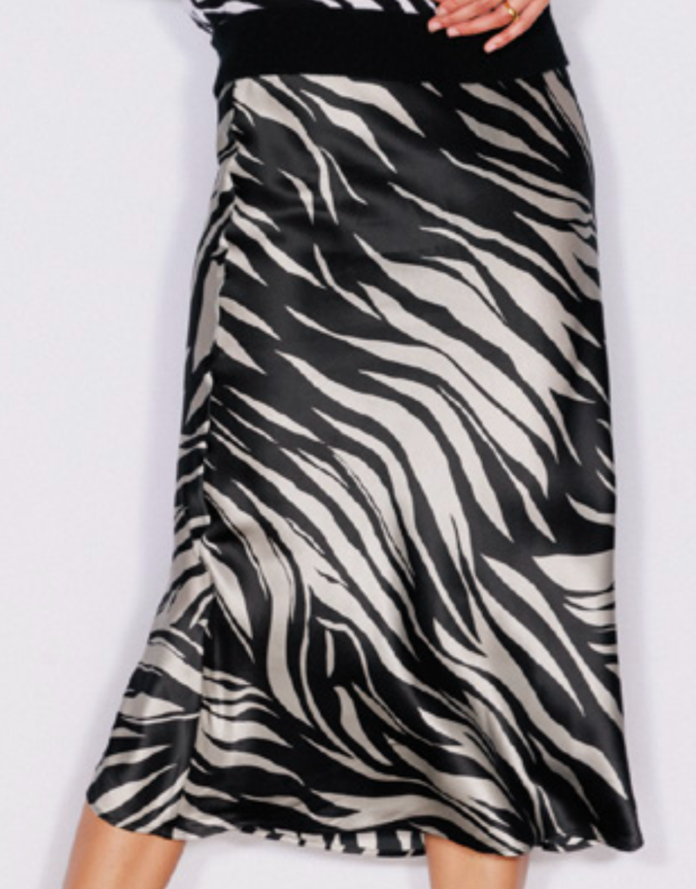 Siena Slip Skirt in Zebra by Catherine Gee