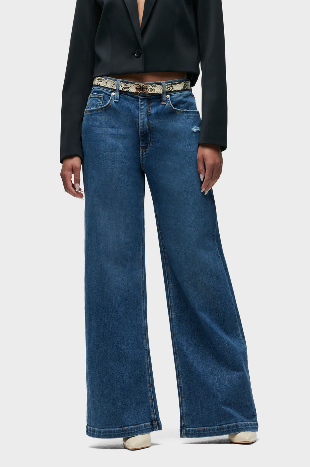 Jodie Loose Fit Wide Leg Jean in Hillside by Hudson