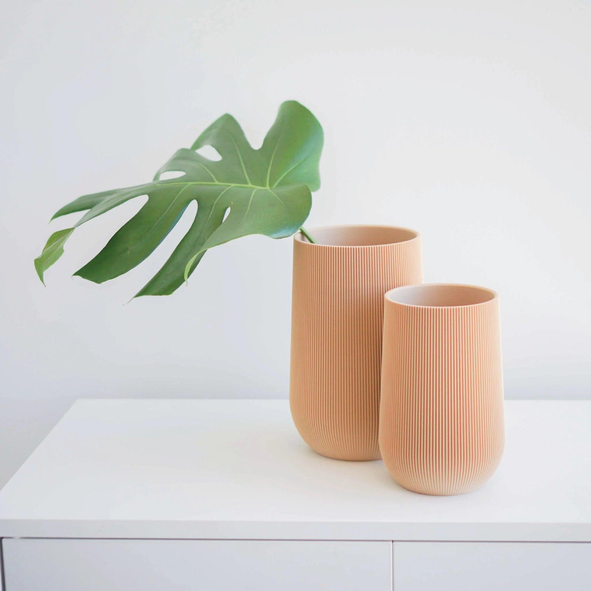 Sequoia Vase by Conifer Homewares - Haven