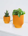 Spruce Planter by Conifer Homewares - Haven