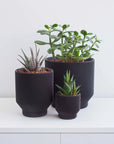 Spruce Planter by Conifer Homewares - Haven