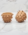 Spiked Clay Mezcalero Shot Glasses by Casa Handmade - Haven